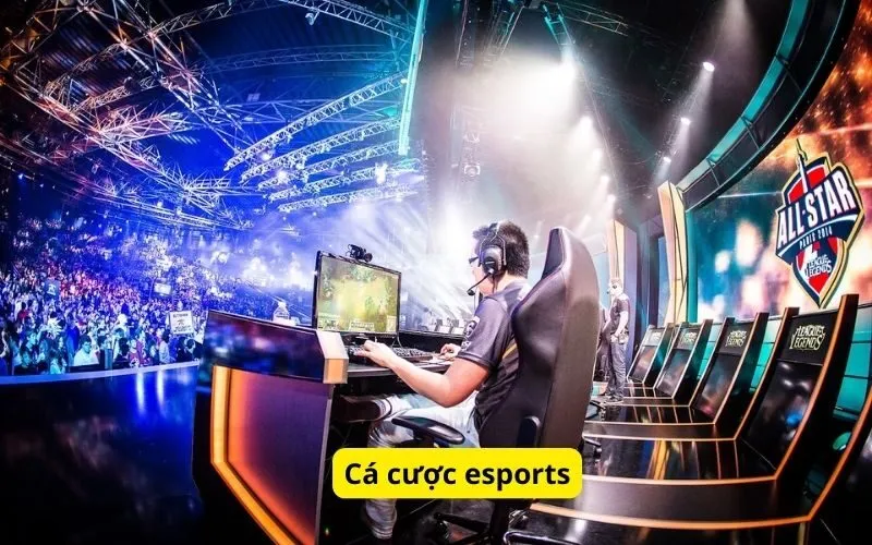 ca-cuoc-esports