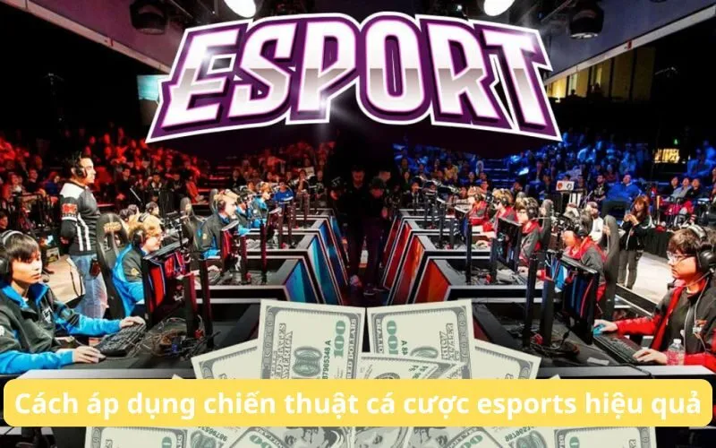 Cách áp dụng chiến thuật cá cược esports hiệu quả