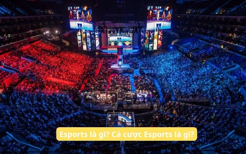 esports-la-gi-ca-cuoc-esports-la-gi