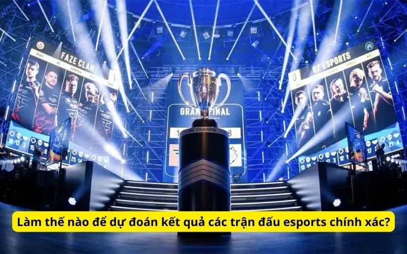 Làm thế nào để dự đoán kết quả các trận đấu esports chính xác