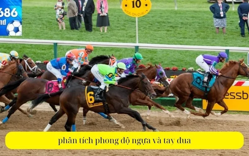 phân tích phong độ ngựa và tay đua