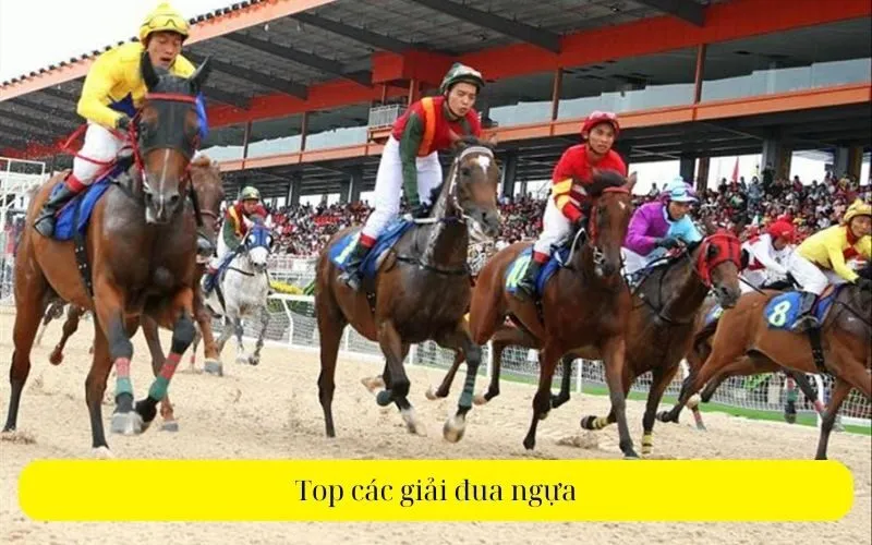 Top các giải đua ngựa