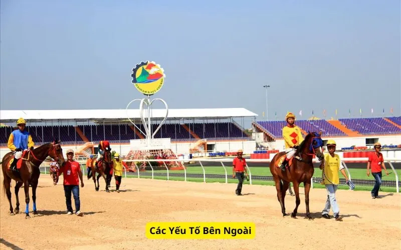 Các Yếu Tố Bên Ngoài