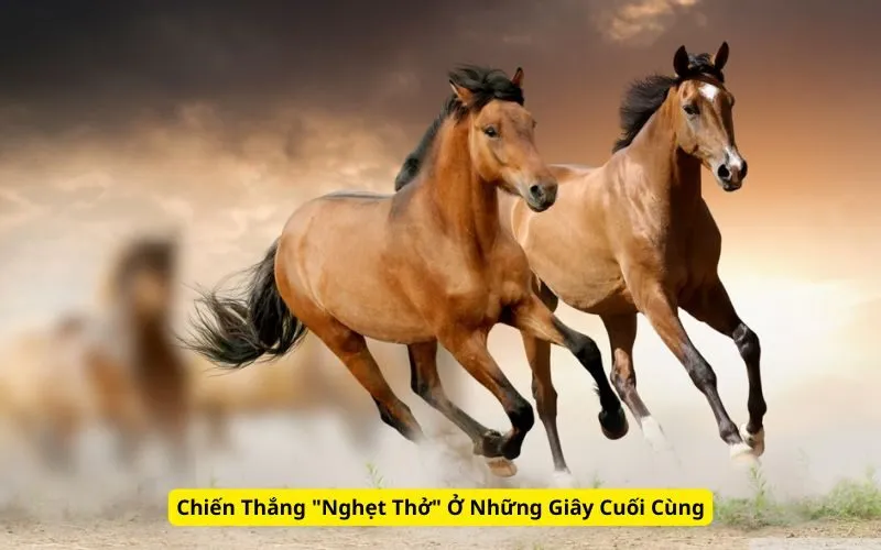 Chiến Thắng "Nghẹt Thở" Ở Những Giây Cuối Cùng