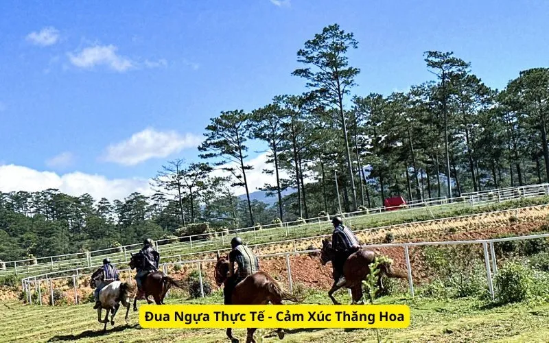 Đua Ngựa Thực Tế - Cảm Xúc Thăng Hoa