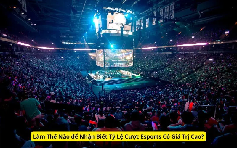 Làm Thế Nào để Nhận Biết Tỷ Lệ Cược Esports Có Giá Trị Cao?