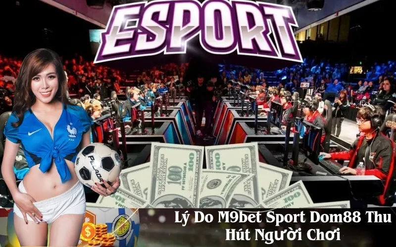 Lý Do M9bet Sport Dom88 Thu Hút Người Chơi