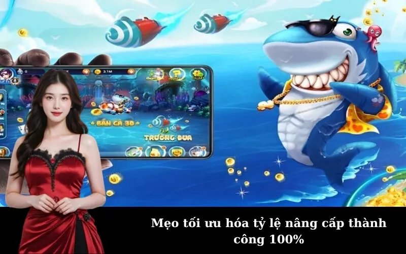 Mẹo tối ưu hóa tỷ lệ nâng cấp thành công 100%