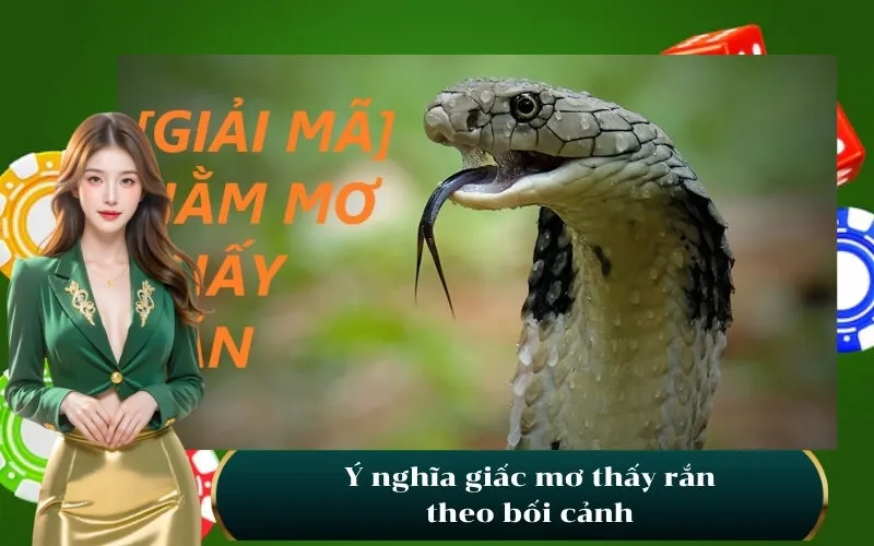 Ý nghĩa giấc mơ thấy rắn theo bối cảnh