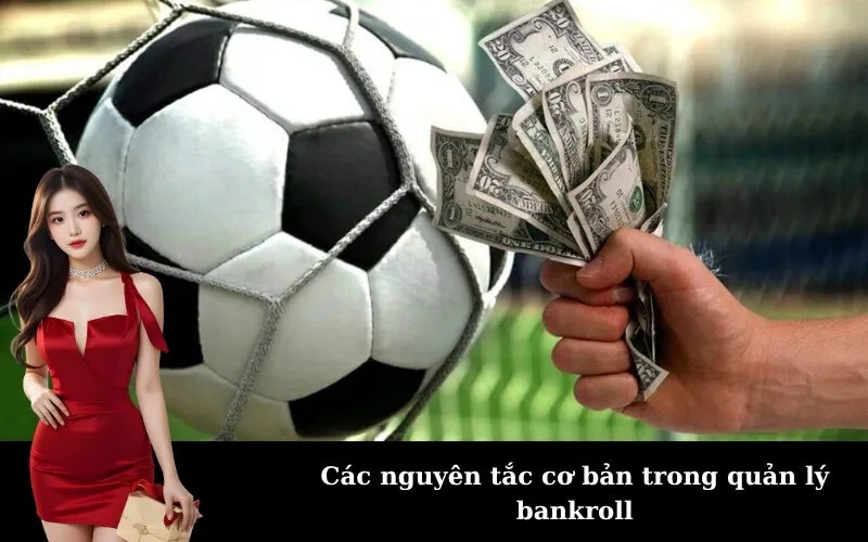Các nguyên tắc cơ bản trong quản lý bankroll
